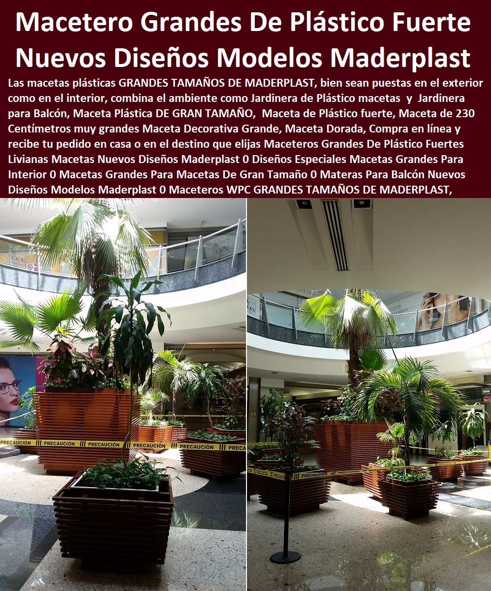 Maceteros Grandes De Plástico Fuertes Livianas Macetas Nuevos Diseños Maderplast 0 Diseños Especiales Macetas Grandes Para Interior 0 Macetas Grandes Para Macetas De Gran Tamaño 0 Materas Para Balcón Maceteros Grandes De Plástico Fuertes  Fábrica 0 Proveedor 0 Contratista 0 Ingeniero 0 Diseñador 0 Decorador 0 Distribuidor de TERRAZAS VERDES 0 TERRAZAS VIVAS 0 JARDINES VERTICALES 0 TECHOS VERDES 0 TEJADOS VERDES 0 FACHADAS VEGETALES 0 Materas Macetas 0 Patios Murales 0 Paredes Verdes 0 Paredes Vivas 0 Jardineras 0 Paisajismo Urbano 0 Construcción Ecológica 0 Cercas Vivas 0 Pérgola Veranera 0 Estructuras Ecológicas 0 Jardineria Sustentable 0 Senderos Ecológicos 0 Jardín Botánico 0 Pérgolas Miradores 0 Fachadas Verdes Livianas Macetas Nuevos Diseños Maderplast 0 Diseños Especiales Macetas Grandes Para Interior 0 Macetas Grandes Para Macetas De Gran Tamaño 0 Materas Para Balcón