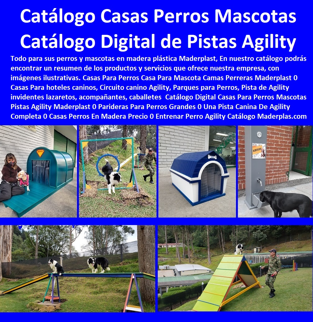 33 CASAS PARA PERROS MASCOTAS 0 AGILITY DE PERROS 0 PISTAS DE ADIESTRAMIENTO CANINOS 0 OBSTÁCULOS EQUIPO DE AGILITY PARA PERROS 0 Cunas Y Parideras Camas Para Perros 0 Pista Campeonatos Para Perros 0 Parques Para Perros 0 Puertas Jaulas Corrales Para Perros 0 Fabrica Circuitos Agility Caninos 0 Perreras Para Caninos Circuito canino Agility Parques para Perros Pista de Agility caballetes Maderplast 0 Agility la Zona de Parada o Mesa 0 Circuito Canino Agility la Mesa el Eslalon la Pasarela 0 Agility la Zona de Parada o Mesa 0 Casas Para Perros Y Mascotas, Agility De Perros, Pistas De Adiestramiento, Caninos Para Perros, Equipo De Agility Para Perros, Cunas Y Parideras Para Perros, Parques Para Perros, Corrales Para Perros, Jaulas cuidado de perros, Agility caballetes Circuito canino Agility Parques para Perros Pista de Agility caballetes Maderplast 0 Agility la Zona de Parada o Mesa 0 Circuito Canino Agility la Mesa el Eslalon la Pasarela 0 Agility la Zona de Parada o Mesa 0 Agility caballetes