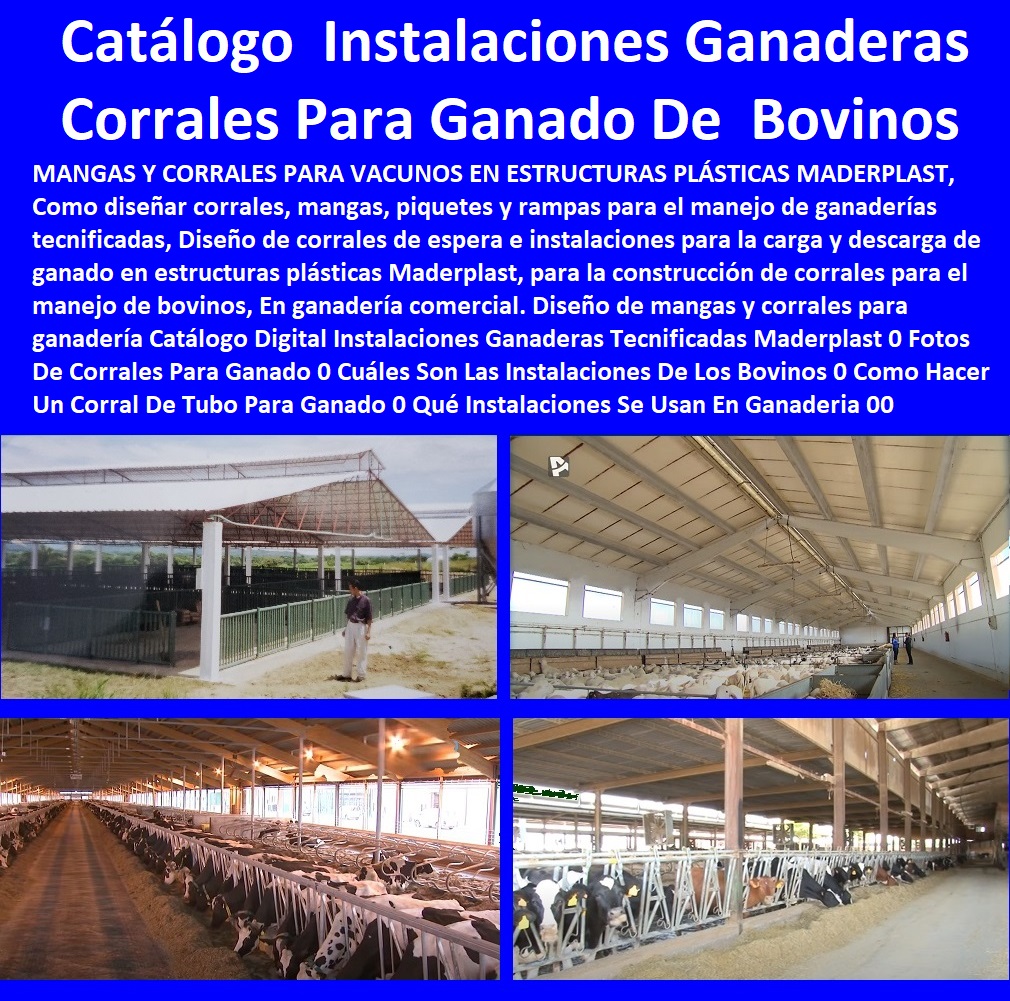 35 GANADERÍAS TECNIFICADAS 0 EXPLOTACIÓN GANADERA AUTOMATIZADA 0 SISTEMAS DE PASTOREO ESTABULADO 0 ESTABULACIÓN DE GANADO 0 Pastoreo Intensivo 0 Establos 0 Corrales 0 Saladeros Para Ganado 0 Comederos Para Ganado 0 Cerramientos 0 Postes Para Cría De Ganado 0 Ganadería Intensiva 0 Ganadería Extensiva Corrales plásticos Maderplast establo para ganadería intensiva estabulada 0 Proyecto de Ganado Lechero Estabulado 0 Instalaciones Para Ganado Semiestabulado 0 Establos Para Ganado de Engorde 0 Ganaderías Tecnificadas, Explotación Ganadera Automatizada, Sistemas de Pastoreo, Estabulación de Ganado, Pastoreo Intensivo, Establos, Corrales, Saladeros, Comederos, Cerramientos, Postes, Instalaciones Ganado Lechero Estabulado Corrales plásticos Maderplast establo para ganadería intensiva estabulada 0 Proyecto de Ganado Lechero Estabulado 0 Instalaciones Para Ganado Semiestabulado 0 Establos Para Ganado de Engorde 0 Instalaciones Ganado Lechero Estabulado