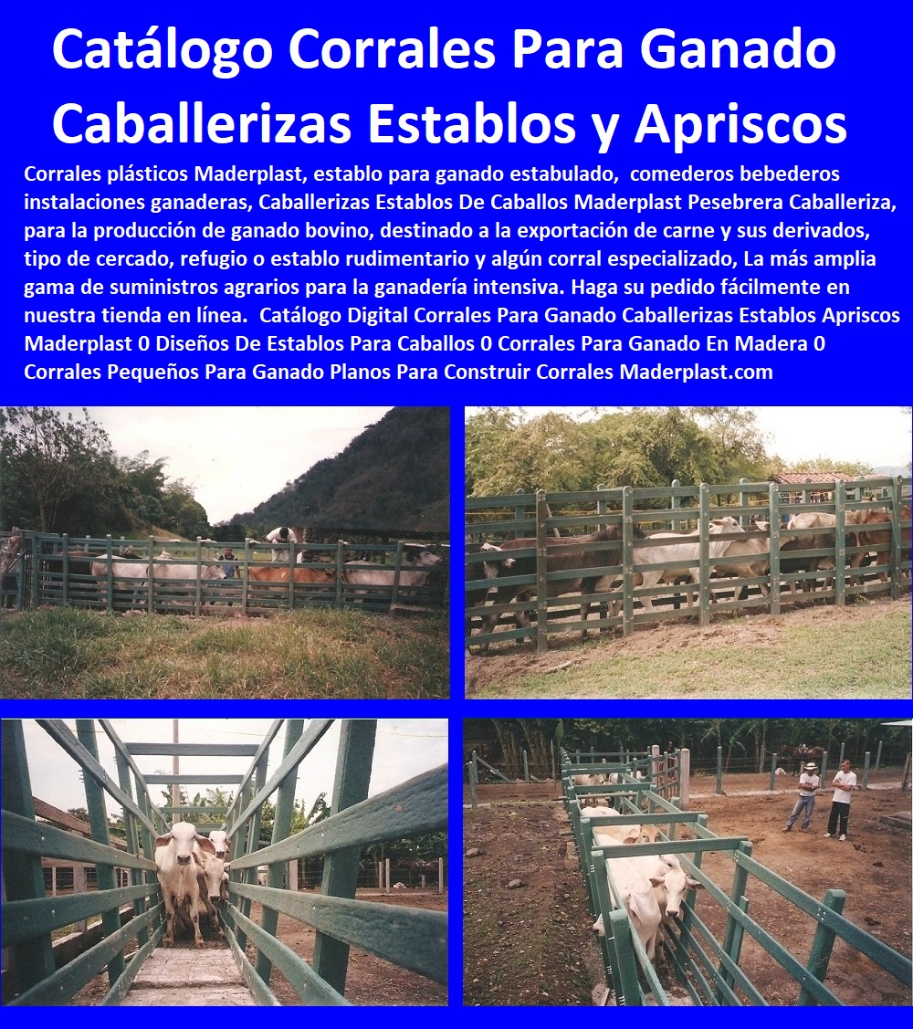 39 CORRALES DE GANADO 0 ESTABLOS PARA ANIMALES 0 MANGAS DE COLEO 0 CORRAL CABALLERIZAS 0 PESEBRERAS DE CABALLOS 0 Plaza Toros 0 Brete Ganadero 0 Instalaciones Ganaderas 0 Mangas De Coleo 0 División De Corrales 0 Embarcaderos De Ganado 0 Mangas Apretaderos Trabajaderos De Ganado 0 Embudos De Manejo De Ganado 0 División De Corrales Medidas De Corrales Y Vaqueras Establos de lujo Corral Decorativo Maderplast 0 corrales para ganado lechero 0 medidas de una vaquera con corral 0 puertas para corrales de ganado 0 manual de mangas y corrales 0 Corrales, Establos De Ganado, Mangas De Coleo, Corral Caballerizas, Pesebreras De Caballos, Plaza Toros, Brete Ganadero, Apretaderos Embarcaderos, Postes Tablas, Polines Varetas, Horcones Madera Plástica, corrales ganaderos 00 Medidas De Corrales Y Vaqueras Establos de lujo Corral Decorativo Maderplast 0 corrales para ganado lechero 0 medidas de una vaquera con corral 0 puertas para corrales de ganado 0 manual de mangas y corrales 0 corrales ganaderos 00