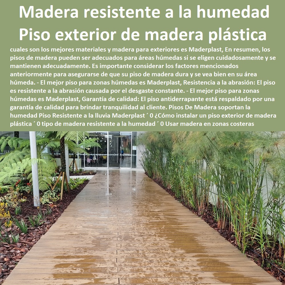 Pisos De Madera soportan la humedad Piso Resistente a la lluvia Maderplast 0 Cómo instalar un piso exterior de madera plástica 00 PISOS MADERA PLÁSTICA MADERPLAST 0 FÁBRICA PROVEEDOR SUMINISTRO E INSTALACION PISO DECK LISTÓN MADERA 0 PISO DE MADERA PLÁSTICA 0  Pisos Radiantes Suelos Cubiertos Con Maderplast 0  Resistente a manchas y derrames, lo que facilita su limpieza y mantenimiento. ´ - 0 proveedores de pisos de madera plástica Maderplast 0 No se astilla ni se agrieta con el tiempo, lo que garantiza la seguridad y durabilidad del piso. ´ - 0 Los más bellos decks de madera Maderplast 0 Mejora la apariencia y valor de la propiedad, lo que atrae a clientes que buscan invertir en su hogar. ´ - 0 los más finos materiales de madera Maderplast 0 Pisos hipoalergénicos ´ - 0 pisos atérmicos de plástico Maderplast 0  Pisos impermeables ´ - 0 Los más bellos decks de madera Maderplast 0 Mejora la navegación: Proporciona una base estable para los marineros, mejorando la navegación en general. ´ -  tipo de madera resistente a la humedad 0 Usar madera en zonas costeras 0 piso laminado resistente al agua  Pisos De Madera soportan la humedad Piso Resistente a la lluvia Maderplast ´ 0 ¿Cómo instalar un piso exterior de madera plástica ´ 0 tipo de madera resistente a la humedad ´ 0 Usar madera en zonas costeras ´ 0 piso laminado resistente al agua ´