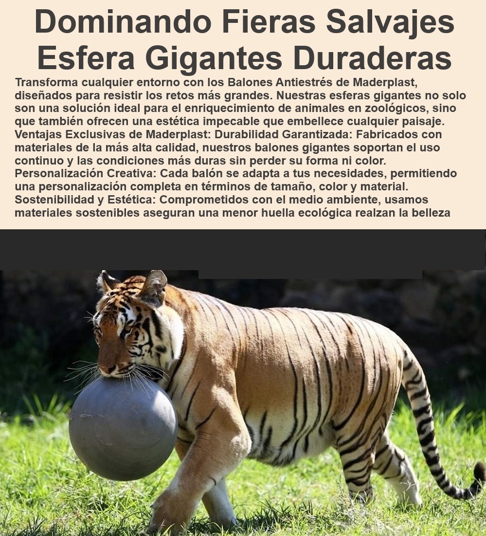 Balones Antiestres Diseño Balón Gigante Bolas Esferas Animal Zoológico Maderplast 0 Balones gigantes con garantía de durabilidad 0 Sostenibilidad Creatividad 0 Balones antiestrés para zoológicos 0 Balones para mejorar el bienestar animal 0 Enriquecimiento animal con balones duraderos 0 Diseño innovador de balones para zoológicos 0 Diseño de balones gigantes para animales 0 Mobiliario zoológico resistente al desgaste 0 Balones de diseño personalizado para zoológicos 0 Bolas esféricas duraderas para zoológicos 0 Materiales sostenibles para zoológicos 0 Balones de alta calidad para animales 0 Esferas antiestrés para grandes felinos 0 Balones gigantes para enriquecimiento animal 0 Esferas de plástico para zoológicos 0 Mobiliario para zoológicos resistente al uso intensivo 0 Balones personalizados para zoológicos 0 Esferas ecológicas para enriquecimiento animal 0 Balones gigantes con garantía de durabilidad 0 Esferas robustas para animales en zoológicos 0 Materiales ecológicos para proyectos zoológicos 0 Esferas personalizadas para proyectos de zoológicos 0 Esferas grandes para animales en cautiverio 0 Balones gigantes para entretenimiento animal 0 Balones para animales grandes en zoológicos 0 Balones antiestrés de alta resistencia 0 Balones para interacción animal en zoológicos Estética impecable en cada cuerpo esférico. 0 Esferas personalizadas proyectos 0 Balones Antiestres Diseño Balón Gigante Bolas Esferas Animal Zoológico Maderplast 0 Balones gigantes con garantía de durabilidad 0 Sostenibilidad Creatividad 0 Estética impecable en cada cuerpo esférico. 0 Esferas personalizadas proyectos 0