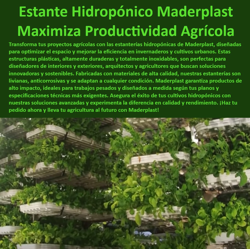Estanterías Inoxidables Cultivos Hidropónicos Bandejas Estructuras Maderplast 0 Estructuras plásticas duraderas, , Cultivos hidroponía alta calidad, , Materiales resistentes a la corrosión, , Materiales inoxidables agrícolas, , Invernaderos modernos Maderplast, , Eficiencia en cultivos verticales, , Eficiencia en la producción agrícola, , Cultivos urbanos eficientes, , Productividad agrícola hidroponía, , Estanterías hidropónicas Maderplast, , Agricultura vertical moderna, , Bandejas para cultivo eficiente, , Optimización de recursos agrícolas, , Tecnología agrícola avanzada, , Diseño de cultivos hidropónicos, , Estructuras agrícolas modulares, , Estanterías agrícolas personalizadas, , Optimización del espacio agrícola, , Sistemas hidropónicos tecnificados, , Proyectos hidropónicos innovadores, , Bandejas para cultivos hidropónicos, , Innovación en hidroponía agrícola, , Diseño de invernaderos eficientes, , Soluciones agrícolas sostenibles, , Soluciones agrícolas Maderplast Sistemas hidropónicos para fachadas verdes 0 Cultivos tecnificados con estructuras plásticas 0 Estructuras y bandejas cultivos hidropónicos 0 Estanterías inoxidables Estanterías Inoxidables Cultivos Hidropónicos Bandejas Estructuras Maderplast 0 Sistemas hidropónicos para fachadas verdes 0 Cultivos tecnificados con estructuras plásticas 0 Estructuras y bandejas cultivos hidropónicos 0 Estanterías inoxidables 0 Estructuras plásticas duraderas, , Cultivos hidroponía alta calidad, , Materiales resistentes a la corrosión, , Materiales inoxidables agrícolas, , Invernaderos modernos Maderplast, , Eficiencia en cultivos verticales, , Eficiencia en la producción agrícola, , Cultivos urbanos eficientes, , Productividad agrícola hidroponía, , Estanterías hidropónicas Maderplast, , Agricultura vertical moderna, , Bandejas para cultivo eficiente, , Optimización de recursos agrícolas, , Tecnología agrícola avanzada, , Diseño de cultivos hidropónicos, , Estructuras agrícolas modulares, , Estanterías agrícolas personalizadas, , Optimización del espacio agrícola, , Sistemas hidropónicos tecnificados, , Proyectos hidropónicos innovadores, , Bandejas para cultivos hidropónicos, , Innovación en hidroponía agrícola, , Diseño de invernaderos eficientes, , Soluciones agrícolas sostenibles, , Soluciones agrícolas Maderplast Estanterías Inoxidables Cultivos Hidropónicos Bandejas Estructuras Maderplast 0 Sistemas hidropónicos para fachadas verdes 0 Cultivos tecnificados con estructuras plásticas 0 Estructuras y bandejas cultivos hidropónicos 0 Estanterías inoxidables