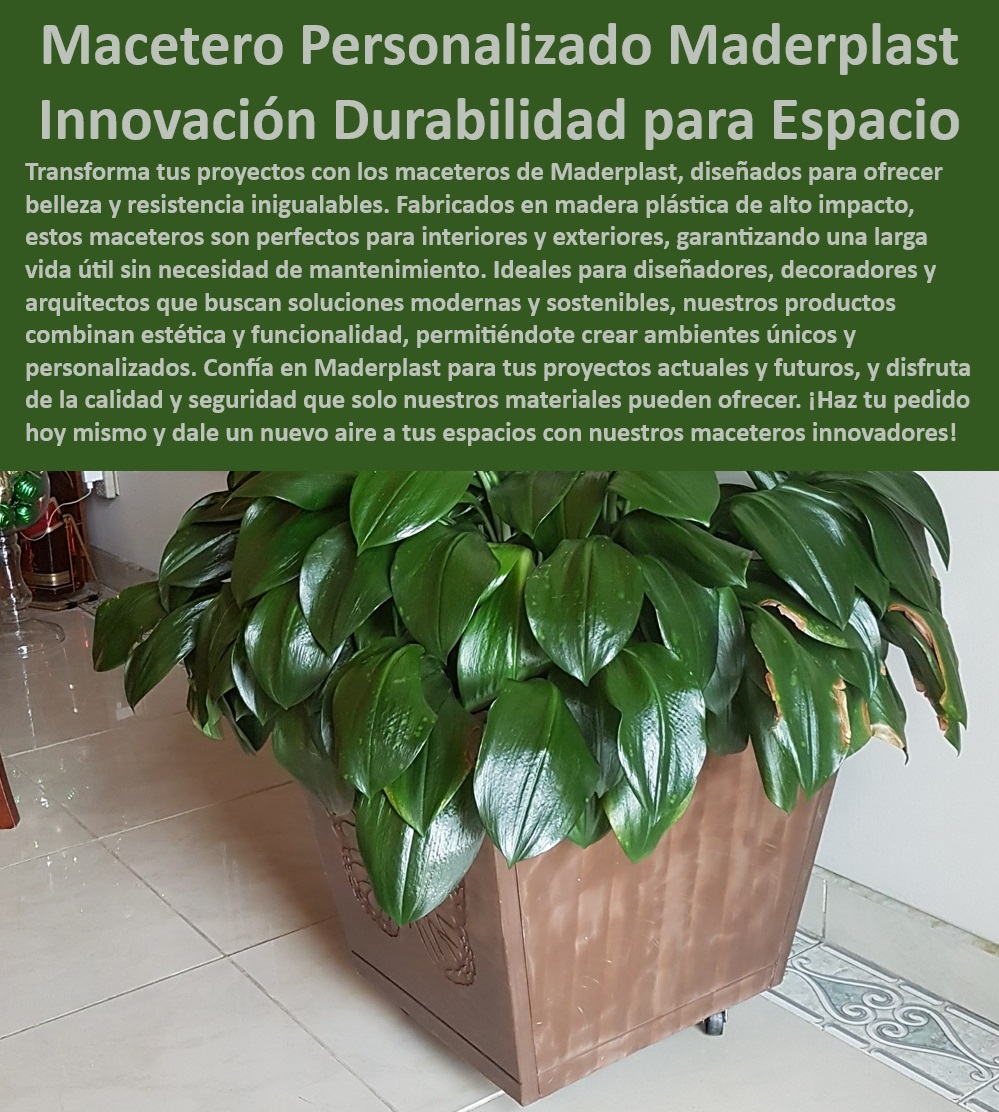Macetas Personalizadas Arquitectos Diseñadores De Jardinería Maceta Maderplast 0 Diseño de jardines con macetas, , Macetas de plástico resistente, , Macetas decorativas para arquitectos, , Jardinería urbana con Maderplast, , Diseño de exteriores con macetas, , Macetas personalizadas Maderplast, , Macetas innovadoras para exteriores, , Maceteros para interiores y exteriores, , Macetas decorativas duraderas, , Jardinería moderna y sostenible, , Jardinería moderna con Maderplast, , Maceteros personalizados para decoradores, , Diseño de jardinería innovador, , Soluciones de macetas duraderas, , Maceteros de alta calidad Maderplast, , Macetas para proyectos de jardinería, , Maceteros innovadores para proyectos, , Maceteros de alta resistencia, , Diseño de macetas con grabados, , Proyectos de jardinería con Maderplast, , Soluciones de jardinería personalizadas, , Macetas resistentes a la intemperie, , Maceteros decorativos resistentes, , Diseño y desarrollo de maceteros, , Soluciones de jardinería duraderas Diseño y desarrollo de productos con grabados 0 Macetas duraderas para exteriores con grabados 0 Soluciones de macetas personalizadas 0 Macetas grabadas CNC Macetas Personalizadas Arquitectos Diseñadores De Jardinería Maceta Maderplast 0 Diseño y desarrollo de productos con grabados 0 Macetas duraderas para exteriores con grabados 0 Soluciones de macetas personalizadas 0 Macetas grabadas CNC Diseño de jardines con macetas, , Macetas de plástico resistente, , Macetas decorativas para arquitectos, , Jardinería urbana con Maderplast, , Diseño de exteriores con macetas, , Macetas personalizadas Maderplast, , Macetas innovadoras para exteriores, , Maceteros para interiores y exteriores, , Macetas decorativas duraderas, , Jardinería moderna y sostenible, , Jardinería moderna con Maderplast, , Maceteros personalizados para decoradores, , Diseño de jardinería innovador, , Soluciones de macetas duraderas, , Maceteros de alta calidad Maderplast, , Macetas para proyectos de jardinería, , Maceteros innovadores para proyectos, , Maceteros de alta resistencia, , Diseño de macetas con grabados, , Proyectos de jardinería con Maderplast, , Soluciones de jardinería personalizadas, , Macetas resistentes a la intemperie, , Maceteros decorativos resistentes, , Diseño y desarrollo de maceteros, , Soluciones de jardinería duraderas Macetas Personalizadas Arquitectos Diseñadores De Jardinería Maceta Maderplast 0 Diseño y desarrollo de productos con grabados 0 Macetas duraderas para exteriores con grabados 0 Soluciones de macetas personalizadas 0 Macetas grabadas CNC