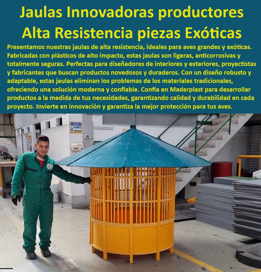 Piezas Especiales Diseño Desarrollo Y Fabricación De Piezas A Pedido, Maderplast 0 Diseño robusto para aves grandes, , Innovación en estructuras plásticas, , Refugios para aves exóticas, , Innovación y protección Maderplast, , Fabricación de estructuras resistentes, , Materiales novedosos y duraderos, , Protección anticorrosiva en recintos, , Contenedores exteriores anticorrosivos, , Estructuras anticorrosivas para pájaros, , Soluciones para aves grandes, , Diseño para interiores y exteriores, , Jaulas resistentes para aves exóticas, , Productos adaptables a proyectos, , Sistemas adaptables y seguros, , Soluciones modernas y confiables, , Creación de jaulas personalizadas, , Recintos plásticos duraderos, , Garantía de calidad y durabilidad, , Recintos para diseñadores y arquitectos, , Soluciones para exteriores resistentes, , Contenedores interiores y exteriores, , Innovadoras jaulas Maderplast, , Diseño de alta durabilidad, , Productos de alto impacto, , Recintos especializados para proyectos Fábrica De Piezas Especiales De Plástico, 0 Diseño Y Desarrollo De Proyectos Especializados, 0 Diseño De Productos Jaulas Para Aves Grandes, 0 Jaulas Para Pajaros Piezas Especiales Diseño Desarrollo Y Fabricación De Piezas A Pedido Maderplast 0 Fábrica De Piezas Especiales De Plástico 0 Diseño Y Desarrollo De Proyectos Especializados 0 Diseño De Productos Jaulas Para Aves Grandes 0 Jaulas Para Pajaros Diseño robusto para aves grandes, , Innovación en estructuras plásticas, , Refugios para aves exóticas, , Innovación y protección Maderplast, , Fabricación de estructuras resistentes, , Materiales novedosos y duraderos, , Protección anticorrosiva en recintos, , Contenedores exteriores anticorrosivos, , Estructuras anticorrosivas para pájaros, , Soluciones para aves grandes, , Diseño para interiores y exteriores, , Jaulas resistentes para aves exóticas, , Productos adaptables a proyectos, , Sistemas adaptables y seguros, , Soluciones modernas y confiables, , Creación de jaulas personalizadas, , Recintos plásticos duraderos, , Garantía de calidad y durabilidad, , Recintos para diseñadores y arquitectos, , Soluciones para exteriores resistentes, , Contenedores interiores y exteriores, , Innovadoras jaulas Maderplast, , Diseño de alta durabilidad, , Productos de alto impacto, , Recintos especializados para proyectos Piezas Especiales Diseño Desarrollo Y Fabricación De Piezas A Pedido, Maderplast 0 Fábrica De Piezas Especiales De Plástico, 0 Diseño Y Desarrollo De Proyectos Especializados, 0 Diseño De Productos Jaulas Para Aves Grandes, 0 Jaulas Para Pajaros