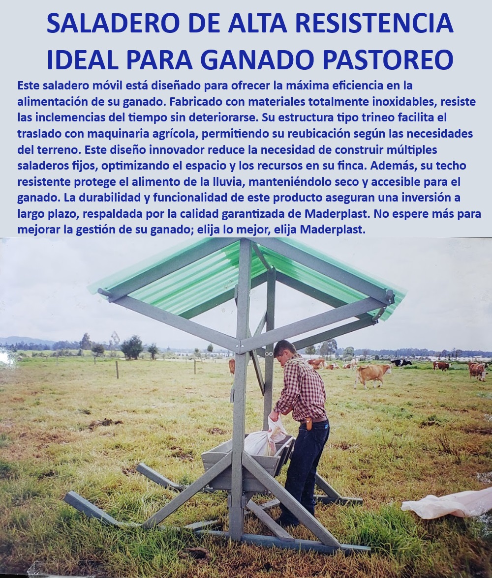 Comederos saladeros de ganado Saladeros portátiles fáciles de Mover Maderplast Saladero de alta resistencia para ganado, - Saladero para pastoreo en fincas, - Comedero portátil para ganado bovino, - Saladero móvil con garantía de durabilidad, - Saladero portátil para alimentación óptima, - ¿Qué saladero es mejor para ganado pastoreo?, - Saladero innovador para manejo ganadero, - Saladero de alta calidad para ganadería, - Comedero móvil con estructura robusta, - Comedero móvil con reubicación fácil, - Comedero portátil de alta durabilidad, - ¿Dónde comprar un saladero portátil resistente?, - Saladero móvil para pastoreo eficiente, - Comedero portátil para granjas de ganado, - Saladero portátil con fácil traslado, - Comedero móvil para ganado en exteriores, - Comedero portátil para pastoreo intensivo, - Saladero ganadero con techo resistente, - Saladero ganadero con bajo mantenimiento, - ¿Cuál es el saladero más duradero para ganado?, - Comedero resistente a la intemperie, - Saladero robusto para ganadería tecnificada, - Comedero ganadero inoxidable y duradero, - Saladero portátil con diseño innovador, - ¿Qué comedero móvil es ideal para fincas ganaderas?, - Saladero móvil para ganado resistente, - Comedero móvil resistente a condiciones extremas, - ¿Cómo se reubica un saladero móvil de ganado?, - Comedero ganadero con protección contra lluvia, - Comedero eficiente para manejo de ganado 0 Saladeros para ganado con alta resistencia Saladero resistente a la intemperie ganado Saladeros para ganado con techo resistente Comedero innovador Comederos saladeros de ganado Saladeros portátiles fáciles de Mover Maderplast 0 Saladeros para ganado con alta resistencia , Saladero resistente a la intemperie ganado , Saladeros para ganado con techo resistente , Comedero innovador