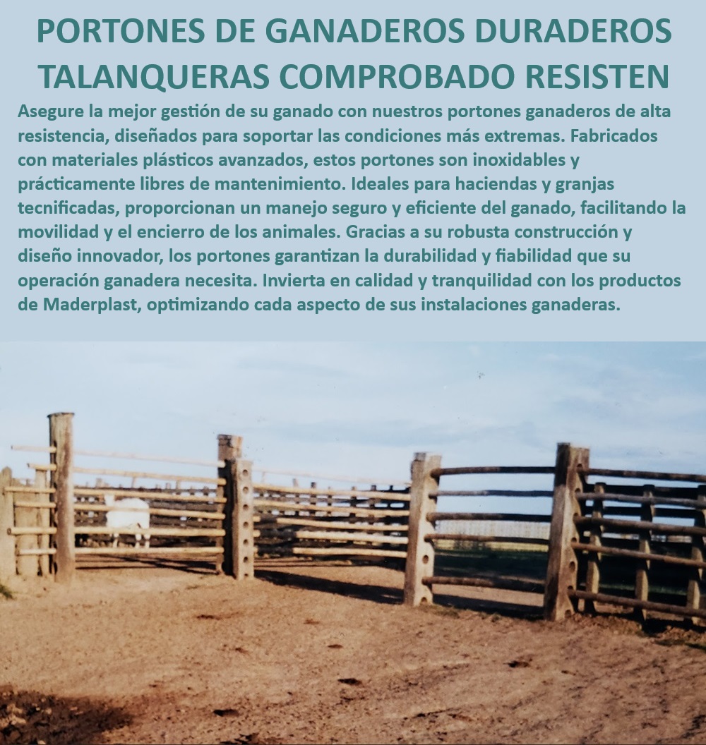 Puerta Resistente Para Corrales Talanquera Portones Broches de Paso Maderplast Puerta de corral inoxidable y resistente, - Puerta de corral con materiales anticorrosivos, - Talanquera ganadera duradera y robusta, - Portón ganadero de alta resistencia y durabilidad, - ¿Qué portón ganadero ofrece mayor seguridad y durabilidad?, - Portón de manejo eficiente para fincas ganaderas, - Portón para corral de alta durabilidad, - Portón ganadero para granjas especializadas, - ¿Dónde encontrar portones ganaderos de alta durabilidad?, - Portón resistente para manejo seguro del ganado, - Portón ganadero innovador y funcional, - Talanquera ganadera para granjas tecnificadas, - Portón ganadero con materiales plásticos avanzados, - Puerta ganadera para manejo seguro del ganado, - Talanquera de plástico reciclado para fincas, - Portón seguro para manejo de ganado intensivo, - Puerta para corral ganadero tecnificado, - ¿Cuál es el mejor portón ganadero para condiciones extremas?, - Talanquera ganadera con instalación rápida, - Portón ganadero de bajo mantenimiento, - Portón resistente para corrales de alta calidad, - ¿Qué tipo de portón es ideal para manejo seguro del ganado?, - Puerta ganadera con máxima seguridad, - Portones de corrales libres de mantenimiento, - Puerta de corral con estructura sólida, - ¿Qué portón de corral es más resistente a la corrosión?, - Portón ganadero ideal para condiciones extremas, - Puerta ganadera con diseño seguro y confiable, - Talanquera ganadera resistente a la corrosión, - Portón duradero para gestión ganadera eficiente 0 Portones ganaderos para manejo eficiente Puerta Corral ganadero alta resistencia inoxidable Puerta segura Ventajas de las puertas plásticas potadas Puerta Resistente Para Corrales Talanquera Portones Broches de Paso Maderplast 0 Portones ganaderos para manejo eficiente , Puerta Corral ganadero alta resistencia inoxidable , Puerta segura , Ventajas de las puertas plásticas potadas