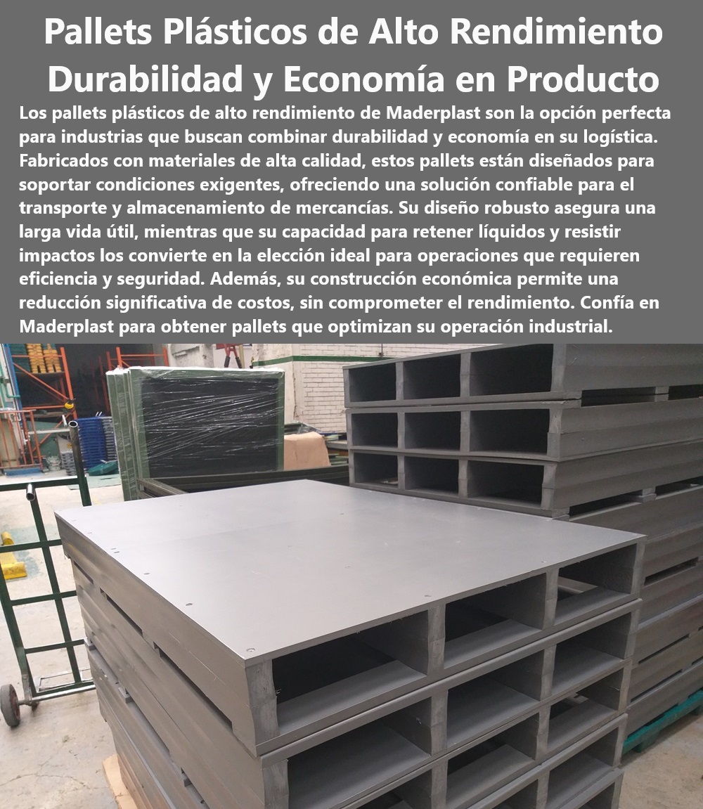 Catálogo Estibas Pallets Plásticos Brochure Tarimas Diseños Especiales Maderplast Pallets para condiciones climáticas extremas - Estibas personalizadas para necesidades específicas - Soluciones de almacenamiento eficiente Maderplast - Tarimas económicas alto rendimiento Maderplast - Pallets con alta durabilidad y bajo costo - "¿Cuáles son los pallets más económicos para uso intensivo disponibles en Maderplast?" - Estibas de plástico para transporte seguro - Estibas para optimización de espacio de almacén - Pallets plásticos con garantías extendidas - "Busco estibas que soporten líquidos, ¿tiene Maderplast soluciones?" - "¿Maderplast tiene pallets especializados para exportaciones internacionales?" - Estibas plásticas para operaciones logísticas eficientes - Soluciones de almacenamiento con pallets modulares - Tarimas resistentes a químicos y humedad - Soluciones Maderplast para almacenaje económico - Tarimas de Maderplast para uso intensivo - Pallets especializados para sectores regulados - Tarimas para almacenamiento de líquidos - Pallets plásticos duraderos para exportación - Pallets de fácil limpieza para industrias sanitarias - Pallets industriales resistentes y económicos - Tarimas plásticas ideales para logística - Pallets reciclables para operaciones sostenibles - Estibas robustas para uso industrial - Pallets económicos para industrias pesadas - Estibas para manejo seguro de productos químicos - "Necesito tarimas económicas para logística pesada, ¿qué recomienda Maderplast?" - Estibas plásticas con retención de líquidos - Estibas con capacidad de carga pesada - "¿Qué opciones de pallets plásticos duraderos ofrece Maderplast?" - Pallets plásticos económicos con alto rendimiento - Pallets plásticos duraderos y económicos - Estibas exportación - Estibas con retención de líquidos PP Catálogo Estibas Pallets Plásticos Brochure Tarimas Diseños Especiales Maderplast - Pallets plásticos económicos con alto rendimiento - Pallets plásticos duraderos y económicos - Estibas exportación - Estibas con retención de líquidos PP Catálogo Estibas Pallets Plásticos Brochure Tarimas Diseños Especiales Maderplast Pallets plásticos económicos con alto rendimiento Pallets plásticos duraderos y económicos Estibas exportación Estibas con retención de líquidos PP Pallets para condiciones climáticas extremas - Estibas personalizadas para necesidades específicas - Soluciones de almacenamiento eficiente Maderplast - Tarimas económicas alto rendimiento Maderplast - Pallets con alta durabilidad y bajo costo - "¿Cuáles son los pallets más económicos para uso intensivo disponibles en Maderplast?" - Estibas de plástico para transporte seguro - Estibas para optimización de espacio de almacén - Pallets plásticos con garantías extendidas - "Busco estibas que soporten líquidos, ¿tiene Maderplast soluciones?" - "¿Maderplast tiene pallets especializados para exportaciones internacionales?" - Estibas plásticas para operaciones logísticas eficientes - Soluciones de almacenamiento con pallets modulares - Tarimas resistentes a químicos y humedad - Soluciones Maderplast para almacenaje económico - Tarimas de Maderplast para uso intensivo - Pallets especializados para sectores regulados - Tarimas para almacenamiento de líquidos - Pallets plásticos duraderos para exportación - Pallets de fácil limpieza para industrias sanitarias - Pallets industriales resistentes y económicos - Tarimas plásticas ideales para logística - Pallets reciclables para operaciones sostenibles - Estibas robustas para uso industrial - Pallets económicos para industrias pesadas - Estibas para manejo seguro de productos químicos - "Necesito tarimas económicas para logística pesada, ¿qué recomienda Maderplast?" - Estibas plásticas con retención de líquidos - Estibas con capacidad de carga pesada - "¿Qué opciones de pallets plásticos duraderos ofrece Maderplast?" Catálogo Estibas Pallets Plásticos Brochure Tarimas Diseños Especiales Maderplast - Pallets plásticos económicos con alto rendimiento - Pallets plásticos duraderos y económicos - Estibas exportación - Estibas con retención de líquidos PP