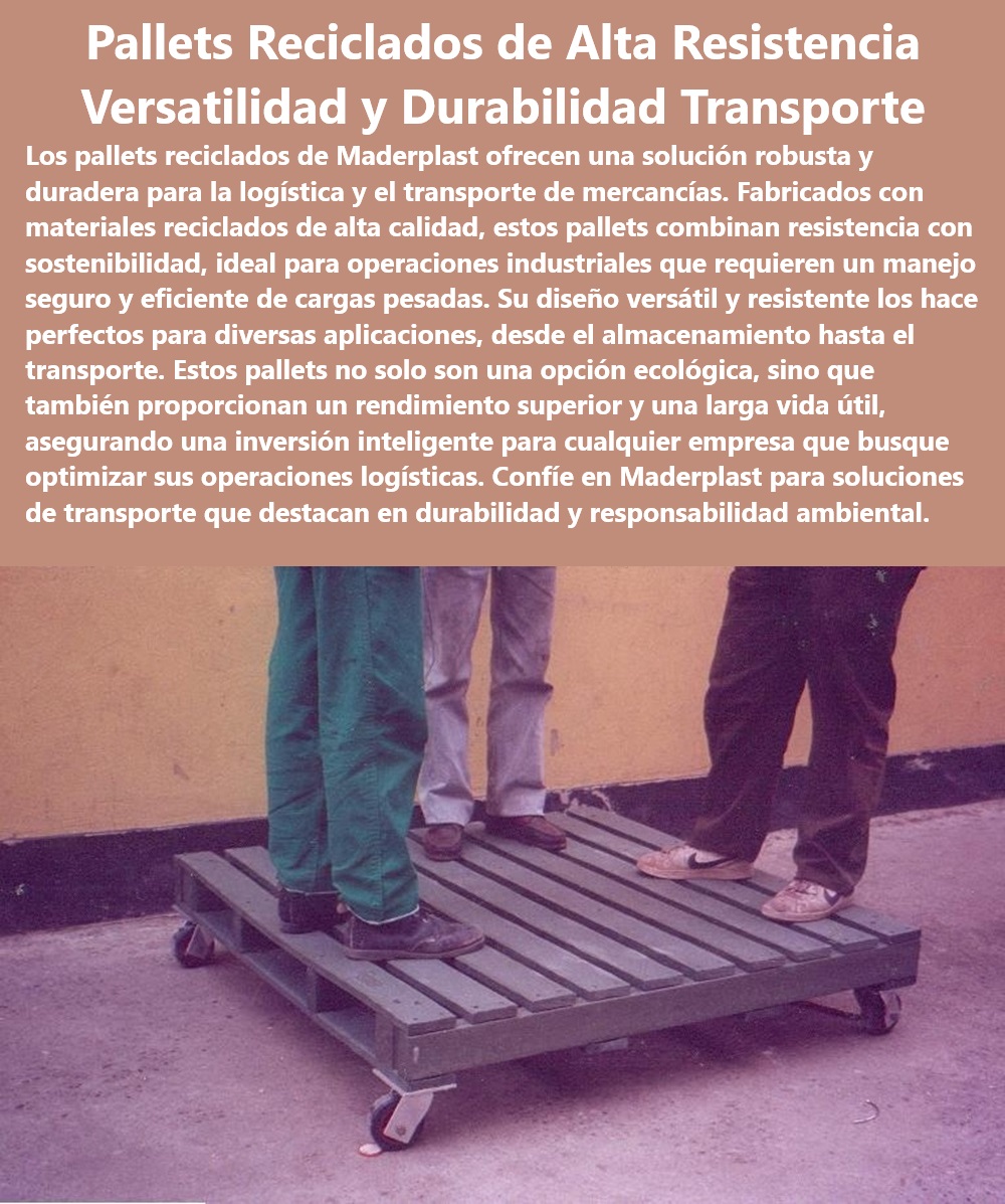 Catálogo Estibas Pallets Plásticos Brochure Tarimas Diseños Especiales Maderplast Soluciones de pallets para mejora de procesos - Tarimas de carga para ambientes adversos - Pallets reciclados para transporte seguro - Pallets ecológicos de alto rendimiento - Pallets versátiles para múltiples aplicaciones - Pallets reciclados de alta resistencia Maderplast - Pallets plásticos duraderos para industrias - Tarimas plásticas resistentes para carga pesada - Pallets reciclados para operaciones industriales - Pallets de plástico con alta durabilidad UV - Tarimas plásticas durables para almacenes - Soluciones de almacenamiento con pallets reciclados - Pallets resistentes a químicos y aceites - Soluciones robustas de pallets para exportación - Pallets reciclados con capacidad de personalización - Tarimas recicladas para gestión de inventarios - Pallets con diseño innovador y sostenible - Tarimas para transporte sostenible - Pallets plásticos adaptados a normativas sanitarias - Maderplast pallets para eficiencia logística - Necesito pallets duraderos para almacenamiento exterior, ¿qué recomienda Maderplast? - Pallets de fácil manejo para logística - Pallets para reducción de huella de carbono - Busco tarimas de plástico que soportan cambios climáticos, ¿qué tiene Maderplast? - Pallets plásticos para carga y descarga eficiente - Pallets de plástico para almacenamiento exterior - ¿Cuáles son las características de los pallets reciclados de Maderplast para carga pesada? - ¿Maderplast tiene pallets plásticos adaptados para la industria alimentaria? - ¿Qué opciones de pallets reciclados ofrece Maderplast para exportaciones? - Pallets para optimización de espacio de carga - Pallets reciclados de alta resistencia - Tarimas para transporte - Pallets plásticos duraderos - Tarimas plásticas versátiles para múltiples usos - Pallets PP Catálogo Estibas Pallets Plásticos Brochure Tarimas Diseños Especiales Maderplast - Pallets reciclados de alta resistencia - Tarimas para transporte - Pallets plásticos duraderos - Tarimas plásticas versátiles para múltiples usos - Pallets PP Catálogo Estibas Pallets Plásticos Brochure Tarimas Diseños Especiales Maderplast Pallets reciclados de alta resistencia Tarimas para transporte Pallets plásticos duraderos Tarimas plásticas versátiles para múltiples usos Pallets PP Soluciones de pallets para mejora de procesos - Tarimas de carga para ambientes adversos - Pallets reciclados para transporte seguro - Pallets ecológicos de alto rendimiento - Pallets versátiles para múltiples aplicaciones - Pallets reciclados de alta resistencia Maderplast - Pallets plásticos duraderos para industrias - Tarimas plásticas resistentes para carga pesada - Pallets reciclados para operaciones industriales - Pallets de plástico con alta durabilidad UV - Tarimas plásticas durables para almacenes - Soluciones de almacenamiento con pallets reciclados - Pallets resistentes a químicos y aceites - Soluciones robustas de pallets para exportación - Pallets reciclados con capacidad de personalización - Tarimas recicladas para gestión de inventarios - Pallets con diseño innovador y sostenible - Tarimas para transporte sostenible - Pallets plásticos adaptados a normativas sanitarias - Maderplast pallets para eficiencia logística - Necesito pallets duraderos para almacenamiento exterior, ¿qué recomienda Maderplast? - Pallets de fácil manejo para logística - Pallets para reducción de huella de carbono - Busco tarimas de plástico que soportan cambios climáticos, ¿qué tiene Maderplast? - Pallets plásticos para carga y descarga eficiente - Pallets de plástico para almacenamiento exterior - ¿Cuáles son las características de los pallets reciclados de Maderplast para carga pesada? - ¿Maderplast tiene pallets plásticos adaptados para la industria alimentaria? - ¿Qué opciones de pallets reciclados ofrece Maderplast para exportaciones? - Pallets para optimización de espacio de carga Catálogo Estibas Pallets Plásticos Brochure Tarimas Diseños Especiales Maderplast - Pallets reciclados de alta resistencia - Tarimas para transporte - Pallets plásticos duraderos - Tarimas plásticas versátiles para múltiples usos - Pallets PP