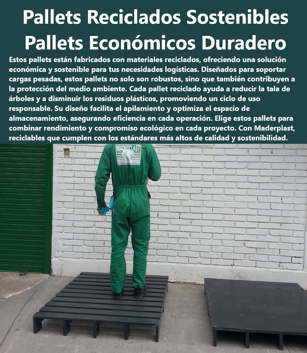 Catálogo Estibas Pallets Plásticos Brochure Tarimas Plásticas Recicladas Maderplast Pallets sostenibles de alta resistencia Maderplast - Pallets plásticos reciclados económicos duraderos - Necesito pallets resistentes para uso industrial, ¿Maderplast tiene soluciones? - ¿Cómo contribuyen los pallets reciclados de Maderplast a la sostenibilidad ambiental? - Compra pallets reciclados para logística eficiente - Pallets plásticos de bajo mantenimiento - Tarimas plásticas recicladas para transporte seguro - Comparación de costos: pallets plásticos vs. madera - Pallets reciclados como solución en cadena de suministro - ¿Cuáles son los beneficios de usar pallets plásticos reciclados? - ¿Qué opciones de pallets reciclados ofrece Maderplast? - Pallets duraderos para industrias sostenibles - Mejores prácticas en reciclaje de pallets - Pallets reciclados de Maderplast para exportación - Beneficios de pallets reciclados en logística - Pallets de plástico reciclado con certificación - Proveedor confiable de pallets reciclados - Alternativas sostenibles a pallets de madera - Busco pallets económicos y duraderos para exportación, ¿alguna recomendación? - Ofertas en pallets plásticos reciclados - Innovación en diseño de pallets reciclados - Soluciones ecológicas en pallets de carga pesada - Pallets reciclados para reducir huella de carbono - Impacto ambiental de pallets plásticos reciclados - Dónde comprar pallets reciclados de calidad - Personalización de pallets para necesidades específicas - Pallets de plástico para uso intensivo - Ventajas de pallets plásticos sobre madera - Pallets reciclados para optimización de almacenes - Pallets para almacenamiento económico y durable - Estibas de alta carga - Comprar estibas plásticas - Pallets de plástico - Estibas diseñadas para cargas pesadas y duraderas - Estibas apilables - Pallets PP Catálogo Estibas Pallets Plásticos Brochure Tarimas Plásticas Recicladas Maderplast - Estibas de alta carga - Comprar estibas plásticas - Pallets de plástico - Estibas diseñadas para cargas pesadas y duraderas - Estibas apilables - Pallets PP Catálogo Estibas Pallets Plásticos Brochure Tarimas Plásticas Recicladas Maderplast Estibas de alta carga Comprar estibas plásticas Pallets de plástico Estibas diseñadas para cargas pesadas y duraderas Estibas apilables Pallets PP Pallets sostenibles de alta resistencia Maderplast - Pallets plásticos reciclados económicos duraderos - Necesito pallets resistentes para uso industrial, ¿Maderplast tiene soluciones? - ¿Cómo contribuyen los pallets reciclados de Maderplast a la sostenibilidad ambiental? - Compra pallets reciclados para logística eficiente - Pallets plásticos de bajo mantenimiento - Tarimas plásticas recicladas para transporte seguro - Comparación de costos: pallets plásticos vs. madera - Pallets reciclados como solución en cadena de suministro - ¿Cuáles son los beneficios de usar pallets plásticos reciclados? - ¿Qué opciones de pallets reciclados ofrece Maderplast? - Pallets duraderos para industrias sostenibles - Mejores prácticas en reciclaje de pallets - Pallets reciclados de Maderplast para exportación - Beneficios de pallets reciclados en logística - Pallets de plástico reciclado con certificación - Proveedor confiable de pallets reciclados - Alternativas sostenibles a pallets de madera - Busco pallets económicos y duraderos para exportación, ¿alguna recomendación? - Ofertas en pallets plásticos reciclados - Innovación en diseño de pallets reciclados - Soluciones ecológicas en pallets de carga pesada - Pallets reciclados para reducir huella de carbono - Impacto ambiental de pallets plásticos reciclados - Dónde comprar pallets reciclados de calidad - Personalización de pallets para necesidades específicas - Pallets de plástico para uso intensivo - Ventajas de pallets plásticos sobre madera - Pallets reciclados para optimización de almacenes - Pallets para almacenamiento económico y durable Catálogo Estibas Pallets Plásticos Brochure Tarimas Plásticas Recicladas Maderplast - Estibas de alta carga - Comprar estibas plásticas - Pallets de plástico - Estibas diseñadas para cargas pesadas y duraderas - Estibas apilables - Pallets PP