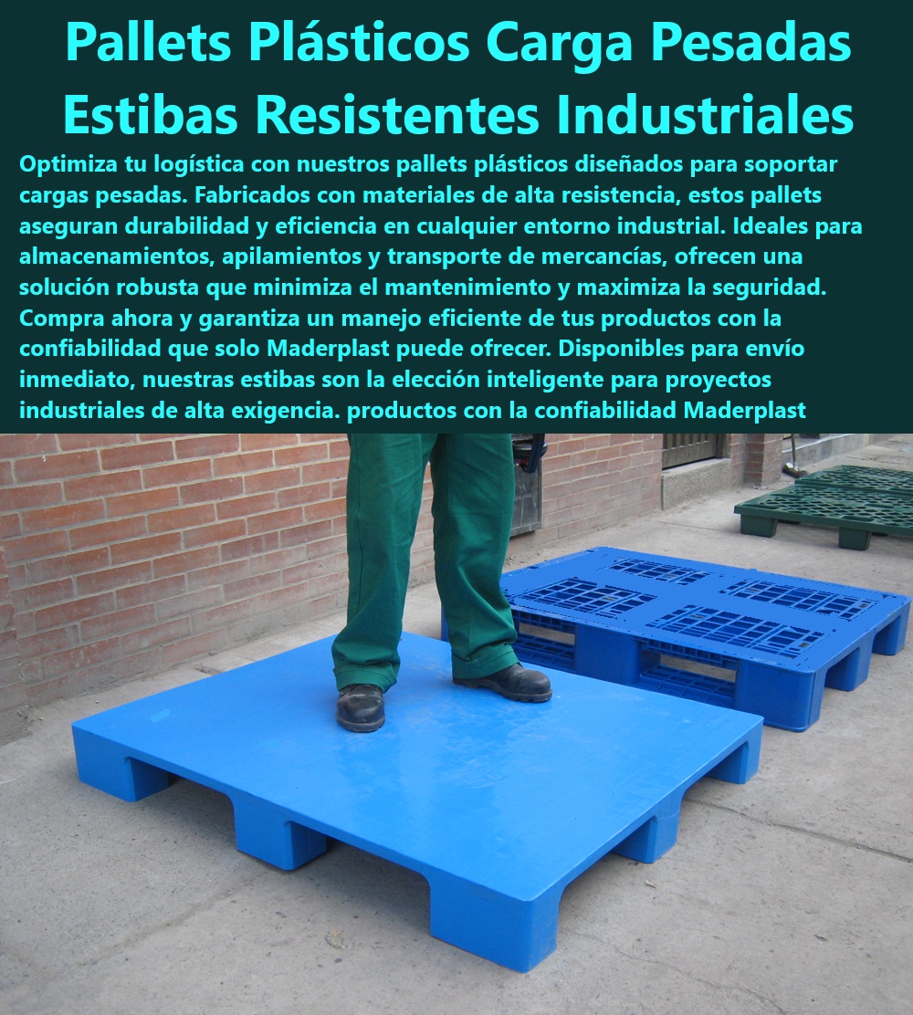 Catálogo Estibas Pallets Plásticos Brochure Tarimas modelos diseños Maderplast Pallets de carga pesada para industrias - Estibas plásticas para uso industrial - Pallets robustos para manejo seguro - ¿Dónde puedo comprar pallets industriales para cargas pesadas? - Estibas resistentes industriales Maderplast - Estibas de plástico para cargas industriales - Comprar pallets duraderos envío inmediato - Soluciones de estibas para transporte pesado - Pallets resistentes a químicos y impactos - Pallets de plástico para exportación - ¿Cuáles son las mejores estibas para manejar mercancías pesadas? - Pallets con diseño ergonómico Maderplast - Estibas para sectores industriales pesados - Estibas Maderplast para almacenamientos exigentes - Estibas de plástico resistente a la intemperie - Pallets industriales de plástico azul - Proveedor de pallets resistentes Maderplast - Compra pallets industriales certificados - Soluciones Maderplast para almacenamiento seguro - Pallets para manejo de mercancías pesadas - Busco pallets de alta resistencia para uso industrial, ¿Maderplast tiene opciones? - Pallets plásticos para cargas pesadas - Pallets de alta resistencia para almacenamiento - Pallets reciclables de alta durabilidad - ¿Maderplast vende pallets que soportan condiciones extremas? - Pallets de plástico con capacidad de carga superior - Comprar pallets industriales online - Necesito pallets de plástico duraderos para transporte, ¿qué ofrece Maderplast? - Estibas de carga pesada con garantía - Pallets industriales para logística eficiente - Pallets en venta - Pallets de una vía - Estibas resistentes cómpralas ahora - Compra pallets plásticos envío inmediato - Estibas tipo paletas - Comprar estibas Catálogo Estibas Pallets Plásticos Brochure Tarimas modelos diseños Maderplast - Pallets en venta - Pallets de una vía - Estibas resistentes cómpralas ahora - Compra pallets plásticos envío inmediato - Estibas tipo paletas - Comprar estibas Catálogo Estibas Pallets Plásticos Brochure Tarimas modelos diseños Maderplast Pallets en venta Pallets de una vía Estibas resistentes cómpralas ahora Compra pallets plásticos envío inmediato Estibas tipo paletas Comprar estibas Catálogo Estibas Pallets Plásticos Pallets de carga pesada para industrias - Estibas plásticas para uso industrial - Pallets robustos para manejo seguro - ¿Dónde puedo comprar pallets industriales para cargas pesadas? - Estibas resistentes industriales Maderplast - Estibas de plástico para cargas industriales - Comprar pallets duraderos envío inmediato - Soluciones de estibas para transporte pesado - Pallets resistentes a químicos y impactos - Pallets de plástico para exportación - ¿Cuáles son las mejores estibas para manejar mercancías pesadas? - Pallets con diseño ergonómico Maderplast - Estibas para sectores industriales pesados - Estibas Maderplast para almacenamientos exigentes - Estibas de plástico resistente a la intemperie - Pallets industriales de plástico azul - Proveedor de pallets resistentes Maderplast - Compra pallets industriales certificados - Soluciones Maderplast para almacenamiento seguro - Pallets para manejo de mercancías pesadas - Busco pallets de alta resistencia para uso industrial, ¿Maderplast tiene opciones? - Pallets plásticos para cargas pesadas - Pallets de alta resistencia para almacenamiento - Pallets reciclables de alta durabilidad - ¿Maderplast vende pallets que soportan condiciones extremas? - Pallets de plástico con capacidad de carga superior - Comprar pallets industriales online - Necesito pallets de plástico duraderos para transporte, ¿qué ofrece Maderplast? - Estibas de carga pesada con garantía - Pallets industriales para logística eficiente Brochure Tarimas modelos diseños Maderplast - Pallets en venta - Pallets de una vía - Estibas resistentes cómpralas ahora - Compra pallets plásticos envío inmediato - Estibas tipo paletas - Comprar estibas