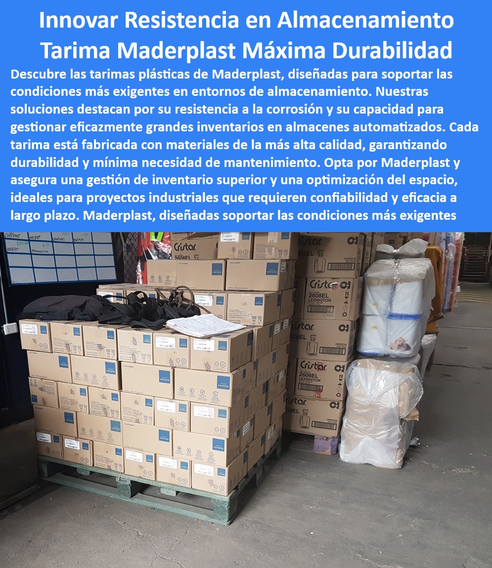 Estibas Plásticas Tarimas Cargas Voluminosas Estiba Carga Pesada Maderplast - Tarimas resistentes a la corrosión para almacenamiento en exteriores - Tarimas plásticas para gestión de inventario en almacenes automatizados - Pallets plásticos 0 Estibas Plásticas Tarimas Cargas Voluminosas Estiba Carga Pesada Maderplast - Tarimas resistentes a la corrosión para almacenamiento en exteriores - Tarimas plásticas para gestión de inventario en almacenes automatizados - Pallets plásticos 0 Estibas Plásticas Tarimas Cargas Voluminosas Estiba Carga Pesada Maderplast Tarimas resistentes a la corrosión para almacenamiento en exteriores Tarimas plásticas para gestión de inventario en almacenes automatizados Pallets plásticos 0 Estibas Plásticas Tarimas Cargas Voluminosas Estiba Carga Pesada Maderplast - Tarimas resistentes a la corrosión para almacenamiento en exteriores - Tarimas plásticas para gestión de inventario en almacenes automatizados - Pallets plásticos 0
