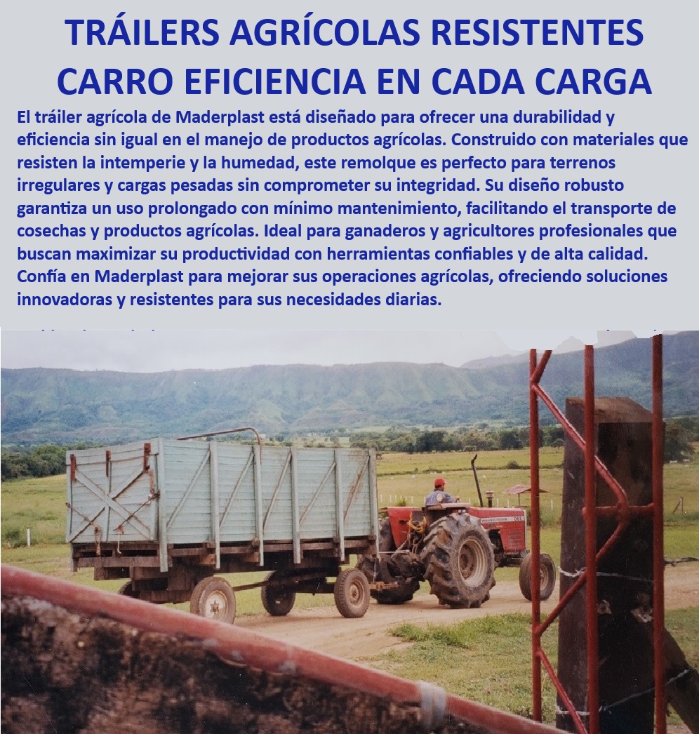 Trailer Zorra Remolque Tráiler Agrícola Zorras grande Carrocería Maderplast Remolque agrícola anti corrosión, - Remolque agrícola ideal para agricultores profesionales, - Tráiler agrícola para transporte seguro, - Remolque agrícola para maximizar productividad, - Tráiler agrícola fácil de operar, - Remolque agrícola para terrenos difíciles, - Remolque agrícola para climas extremos, - Tráiler agrícola para uso prolongado, - Remolque agrícola de diseño robusto, - Tráiler agrícola resistente y duradero, - ¿Qué remolque agrícola ofrece mayor durabilidad en climas extremos?, - ¿Cómo elegir un tráiler agrícola duradero y resistente?, - Remolque agrícola resistente a la humedad, - Tráiler agrícola con bajo mantenimiento, - Remolque agrícola de alta eficiencia, - ¿Cuál es el tráiler agrícola más eficiente para transporte de cosechas?, - Tráiler agrícola con larga durabilidad, - Remolque agrícola para cargas pesadas, - Tráiler agrícola confiable para transporte, - Tráiler para cosechas y productos agrícolas, - Tráiler agrícola para mejorar operaciones agrícolas, - ¿Qué tráiler agrícola garantiza bajo mantenimiento y alta resistencia?, - Remolque agrícola con materiales de alta calidad, - Tráiler agrícola adaptable a terrenos irregulares, - Tráiler agrícola para operaciones diarias, - Soluciones agrícolas con tráiler resistente, - Remolque para transporte de cosechas, - Carrocería de remolque agrícola resistente, - Remolque agrícola eficiente en campo, - ¿Cuál es el mejor remolque agrícola para terrenos difíciles? 0 Tráiler agrícola Remolque agrícola fácil de usar Remolque para cosecha Carretilla forrajera para transporte de pasto Remolques transporte agrícolas  Trailer Zorra Remolque Tráiler Agrícola Zorras grande Carrocería Maderplast 0 Trailer agrícola , Remolque agrícola fácil de usar , Remolque para cosecha , Carretilla forrajera para transporte de pasto , Remolques transporte agrícolas