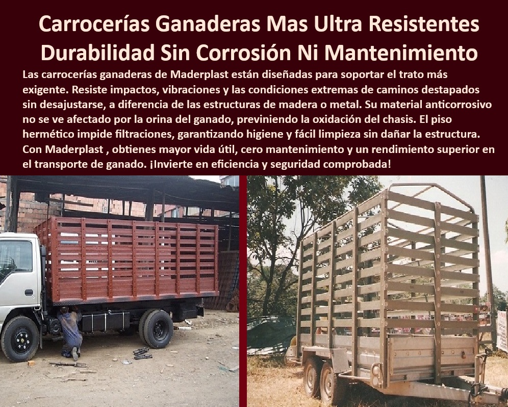 Carrocería Para Ganado Carrocerías Para Transporte De Animales Maderplast 0 estructuras plásticas para remolques carrocerías de estacas plásticas Dónde venden carrocerías plásticas camiones de carga 00 Bienestar-Animal, - Ventajas de las Carrocerías plásticas para el transporte de animales, - Carrocería ganadera Maderplast, - Durabilidad-Comprobada, - Pregunta 2: ¿Cómo puedo evitar la corrosión y el deterioro de mi Carrocería ganadera debido a la orina y el estiércol? - Respuesta: Elige Carrocerías fabricadas con materiales plásticos de alta tecnología, que son totalmente resistentes a la corrosión y a los agentes biológicos. Maderplast te ofrece esta protección, - Mejor Carrocería transporte ganado, - Carrocería transporte animales sin óxido, - Estacas plásticas para camiones, - Fabricante Carrocerías ganaderas, - Carrocería ganadera fácil limpieza, - Oye Siri, necesito una Carrocería para mi camión que no se oxide con la orina del ganado, - Fácil-Limpieza, - Estacas plásticas para remolques, - Venta Carrocerías ganaderas Colombia, - Ok Google, ¿dónde venden Carrocerías Maderplast para ganado en Colombia?, - Transporte ganado sin filtraciones, - Carrocerías para fincas ganaderas, - Empresas que fabrican Carrocerías ganaderas personalizadas, - Camiones-Ganaderos, - Carrocerías ganaderas: tipos, materiales y precios, - Precio Carrocería para ganado, - Estacas plásticas resistentes UV, - Carrocería ganadera anti impacto, - Carrocería ganadera larga duración, - Pregunta 1: ¿Qué tipo de Carrocería me garantiza un transporte seguro y sin estrés para mi ganado? - Respuesta: Las Carrocerías de estacas plásticas Maderplast, diseñadas con materiales resistentes, ventilación adecuada y piso hermético, ofrecen la máxima seguridad y comodidad para los animales. Maderplast es la solución ideal, - Carrocería ganadera ecológica, - Cómo elegir una Carrocería segura y cómoda para el ganado, - Soluciones transporte ganadero, - Normas para el transporte de ganado en Colombia (o el país correspondiente), - Transporte-Ganado-Seguro, - Carrocería-Ganadera-Plástica, - Estacas para ganado anti corrosión, - Carrocería ganadera resistente, - Pregunta 3: ¿Qué ventajas tiene una Carrocería ganadera con piso hermético? - Respuesta: Un piso hermético evita filtraciones, facilita la limpieza y desinfección, y previene daños a la estructura del vehículo, garantizando la higiene y el bienestar animal. Maderplast ofrece pisos herméticos, - Dónde comprar Carrocería ganadera, - Pregunta 5: ¿Qué garantía ofrecen las Carrocerías de estacas plásticas especiales para transportar ganado? - Respuesta: Maderplast ofrece una garantía que supera los 20 años de durabilidad, son productos diseñados y fabricados con materiales para durar toda la vida, Maderplast es la solución, - Estacas plásticas para ganado, - Carrocería para ganado a medida, - Carrocería-Sin-Corrosión, - Ok Google, ¿qué tipo de Carrocería es mejor para transportar ganado?, - Pregunta 4: ¿Dónde puedo encontrar una Carrocería ganadera que sea duradera y requiere poco mantenimiento? - Respuesta: Maderplast ofrece Carrocerías de estacas plásticas de alta resistencia, diseñadas para soportar el uso intensivo y las condiciones extremas sin necesidad de mantenimiento constante. Encuentra durabilidad en Maderplast, - Soluciones-Ganaderas, - Maderplast-Ganadería, - Alexa, busca Carrocerías ganaderas que sean resistentes y duraderas, - Estacas-Resistentes, - Transporte seguro de ganado, - Estacas para ganado personalizadas, - Distribuidor Maderplast ganadería, - Hey Siri, recomiéndame estacas para camión ganadero que sean fáciles de limpiar, - Carrocería ganadera ligera Carrocería Para Ganado, Carrocerías Para Transporte De Animales Maderplast 0 estructuras plásticas para remolques, - carrocerías de estacas plásticas, - ¿Dónde venden carrocerías plásticas camiones de carga, -00