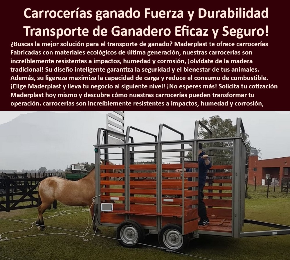 Carrocería Para Ganado Carrocerías Para Transporte De Animales Maderplast 0 remolques para maquinaria agrícola carrocerías para vehículos de carga Cuál es la mejor carrocería para transporte de animales carrocerías ganaderas resistentes Carrocería Para Ganado, Carrocerías Para Transporte De Animales Maderplast 0 Dónde comprar Carrocería ganadera, - Estacas para camión ganadero, - Transporte ganado sin mantenimiento, - Maderplast-Ganadería, - Transporte-Ganado-Seguro, - Carrocería ganadera resistente a orina, - Carrocería-Anti-Corrosión, - Carrocería ganadera ligera, - Normas de bienestar animal en el transporte de ganado, - Cómo elegir la mejor Carrocería para transporte de ganado, - Bienestar-Animal, - Mejor Carrocería para ganado, - Estacas para ganado sin óxido, - Carrocería para ganado a medida, - Pregunta 4: ¿Dónde puedo encontrar una Carrocería para ganado que me ofrezca una larga vida útil y un buen retorno de inversión? - Respuesta: Maderplast ofrece Carrocerías de estacas plásticas diseñadas para durar más de 20 años, con una estructura robusta y materiales de alta calidad que optimizan tu inversión. Maderplast es garantía de durabilidad, - Carrocería para ganado duradera, - Eficiencia-Transporte, - Carrocería ganadera ecológica, - Hey Siri, recomiéndame estacas para camión ganadero que sean fuertes y duraderas, - Ok Google, ¿qué Carrocería es resistente a la orina del ganado?, - Oye Siri, necesito una Carrocería para mi camión que no requiera mantenimiento, - Pregunta 3: ¿Qué características debe tener una Carrocería ganadera para garantizar la seguridad y el bienestar de los animales? - Respuesta: Debe ser resistente a impactos y vibraciones, tener un piso hermético para evitar filtraciones y ser fácil de limpiar para mantener la higiene. Todo esto lo encuentras en Maderplast, - Ok Google, ¿dónde venden Carrocerías Maderplast para transporte de animales?, - Soluciones-Ganaderas, - Carrocerías ganaderas: materiales y sus ventajas, - Carrocerías-Ecologicas, - Precio Carrocería Maderplast, - Carrocería-Ganadera-Resistente, - Estacas plásticas para remolques, - Fabricante Carrocerías Colombia, - Carrocería ganadera piso hermético, - Carrocería ganadera fácil limpieza, - Estacas plásticas resistentes a impactos, - Carrocerías para transporte de caballos, - Estacas plásticas para ganado, - Mantenimiento de Carrocerías ganaderas: mejores prácticas, - Carrocería ganadera larga vida útil, - Pregunta 2: ¿Cómo puedo evitar el mantenimiento constante y los costos asociados en mi Carrocería ganadera? - Respuesta: Opta por una Carrocería de estacas plástica de Maderplast, que no requiere pintura, no se oxida, no se pudre y es fácil de limpiar, eliminando los problemas comunes de la madera y el metal. Maderplast te ofrece cero mantenimiento, - Estacas plásticas para camiones, - Pregunta 5: ¿Qué ventajas tienen las Carrocerías para transporte de ganado de Maderplast, para el bienestar de los animales? - Respuesta: Las Carrocerías Maderplast ofrecen una estructura con espacios para ventilación y al mismo tiempo son anti traumatismos, para un transporte seguro, Maderplast es la mejor solución, - Transporte ganado seguro, - Pregunta 1: ¿Qué tipo de Carrocería es ideal para el transporte de ganado si busco durabilidad y resistencia a la corrosión? - Respuesta: Las Carrocerías de estacas plásticas de Maderplast son la mejor opción, ya que su material anticorrosivo resiste la orina del ganado y las condiciones extremas sin deteriorarse. Maderplast es la solución, - Distribuidor Maderplast Carrocerías, - Proveedores de Carrocerías ganaderas en [país/región], - Soluciones transporte animales, - Cero-Mantenimiento, - Estacas-Plásticas-Duraderas, - Venta de Carrocerías Maderplast, - Carrocería ganadera anticorrosiva, - Alexa, busca Carrocerías ganaderas que no se oxiden. remolques para maquinaria agrícola, - carrocerías para vehículos de carga, - ¿Cuál es la mejor carrocería para transporte de animales, - carrocerías ganaderas resistentes