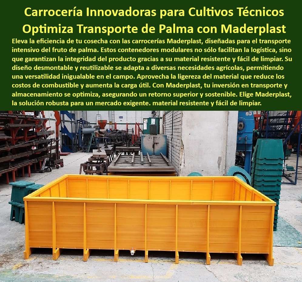 Carrocería tipo cajones para plataformas agrícolas Carrocerías Maderplast 0 cajón de carga intercambiable para camiones de reparto contenedores de plástico para almacenamiento en camiones contenedor agrícola para transporte frutos delicados 0 Carrocería desmontable para logística de campo, - unidad de carga resistente y fácil de limpiar, - caja-intercambiable-para-camiones, - caja de transporte segura para alimentos, - unidad de almacenamiento agrícola modular, - Carrocería-agrícola-eficiente, - ¿Cuál es la mejor opción para transportar frutos delicados? - Se recomienda el uso de contenedores plásticos modulares con ventilación adecuada y materiales anticorrosivos, garantizando la integridad del producto. Maderplast desarrolla soluciones optimizadas para el sector agrícola, - ¿Qué ventajas tienen las Carrocerías plásticas en el campo?, - ¿Dónde encontrar contenedores resistentes para frutos delicados?, - sistema de carga eficiente para recolección, - cajón de carga desmontable para camiones, - Carrocería ligera y anticorrosiva para campo, - contenedor-plástico-para-cultivos, - transporte-seguro-de-palmas, - Carrocería eficiente para reducción de costos, - transporte optimizado para cultivos industriales, - cajón de almacenamiento industrial agrícola, - almacenamiento seguro para productos agrícolas, - almacenamiento-móvil-de-frutas, - ¿Dónde comprar Carrocerías desmontables para transporte de cosechas? - Es ideal buscar proveedores especializados en soluciones Logísticas agrícolas con materiales resistentes y sostenibles. Maderplast ofrece Carrocerías innovadoras para la industria agrícola, - tanque de polipropileno para productos agrícolas, - caja intercambiable para transporte agrícola, - soluciones de logística para cultivos técnicos, - transporte-de-frutos-delicados, - Carrocería plástica de alta resistencia, - logística-rápida-para-agricultura, - solución sostenible para transporte agrícola, - contenedor modular para frutos delicados, - ¿Cómo funciona un cajón de carga intercambiable para camiones agrícolas? - Se instala y retira fácilmente, permitiendo un transporte eficiente de diferentes productos sin necesidad de modificar el camión, lo que mejora la versatilidad operativa. Maderplast ofrece estos sistemas modulares, - ¿Cuál es la mejor solución para recolección de palma?, - Carrocería plástica resistente para cosechas, - caja-modular-para-cosecha, - ¿Cómo funcionan los cajones desmontables para camiones?, - Carrocería-de-polipropileno, - cajón de polipropileno para camiones, - plataforma modular para optimizar cosechas, - Carrocería plástica para transporte de palma, - ¿Qué beneficios tiene una Carrocería plástica para el transporte de cultivos? - Son ligeras, resistentes a la corrosión, fáciles de limpiar y optimizar la logística agrícola, reduciendo costos y maximizando la seguridad en el transporte. Maderplast fabrica Carrocerías diseñadas para cultivos técnicos, - optimización-del-transporte-agrícola, - caja de almacenamiento para camiones agrícolas, - Carrocería de polipropileno para transporte, - contenedor hermético para productos perecederos, - Carrocería hermética para recolección de frutas, - Carrocería agrícola para transporte de palma, - almacenamiento de frutos en transporte seguro, - solución de logística para cultivos técnicos, - estructura desmontable para cosecha de palma, - ¿Dónde comprar Carrocerías plásticas para transporte agrícola?, - caja modular para carga agrícola, - ¿Por qué elegir Carrocerías plásticas en lugar de metálicas para el transporte agrícola? - Son más ligeras, no se corroen, requieren menos mantenimiento y reducen el impacto ambiental al ser reciclables. Maderplast fabrica Carrocerías de polipropileno para mayor eficiencia. Carrocería tipo cajones para plataformas agrícolas Carrocerías Maderplast 0  cajón de carga intercambiable para camiones de reparto, - contenedores de plástico para almacenamiento en camiones, - contenedor agrícola para transporte frutos delicados
