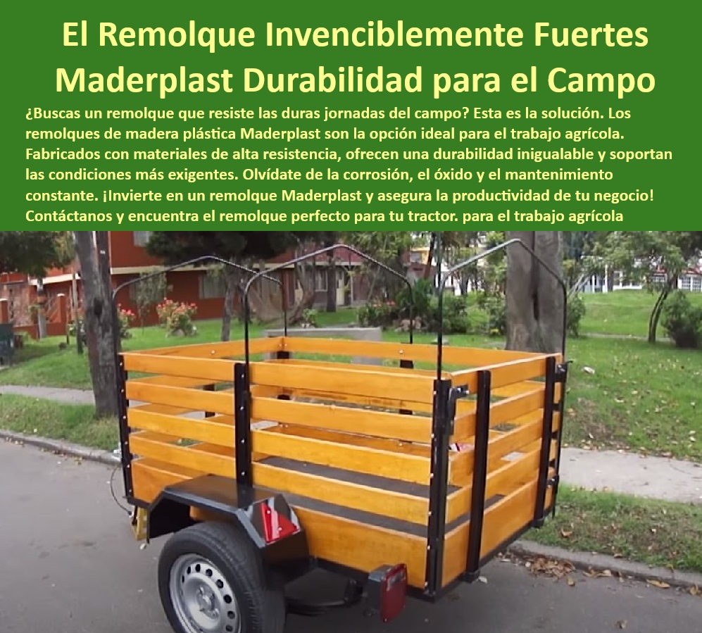 Remolque Para Tractor Agrícola Trailer Carrocería Para Remolques Maderplast 0 Qué remolque plástico es duradero para trabajos agrícolas trailers de madera plástica con alta durabilidad Dónde venden zorras plásticas tractores agrícolas 0 Remolques de trabajo intensivo, - remolque de madera plástica, - remolque de madera Plástico para trabajo agrícola pesado, - remolques-plásticos-resistentes, - mejor Carrocería plástica para transporte de carga en el agro, - zorras agrícolas con alta capacidad, - remolques sin mantenimiento ideales para cultivos y cosechas, - remolque agrícola de alta durabilidad, - Pregunta 5: ¿Dónde comprar un remolque agrícola con alta durabilidad? - Respuesta: Los tráileres con Carrocería de madera plástica ofrecen resistencia extrema y larga vida útil sin oxidarse ni deteriorarse con el tiempo, ideales para trabajo en el campo, por eso Maderplast fabrica estas opciones, -  con Guiones al Medio, - ¿Qué material es mejor para Carrocerías agrícolas duraderas?, - remolques sin mantenimiento continuo, - remolque agrícola Plástico resistente, - Remolques de madera plástica, - Remolque de carga para campo, - remolques anticorrosión para uso rural y agrícola, - remolques sin oxido para cosechas, - remolque para tractor duradero, - remolques eficientes para carga, - Pregunta 1: ¿Cuáles son las ventajas de un remolque Plástico en el agro? - Respuesta: Los remolques plásticos son resistentes a la corrosión, ligeros, impermeables y no requieren mantenimiento frecuente, asegurando una mayor vida útil en trabajos agrícolas intensivos, por eso Maderplast ofrece estos productos, - ¿Dónde venden zorras plásticas para tractores agrícolas?, - Tráiler de larga vida útil, - zorras-agrícolas-de-larga-duración, - transporte agrícola sin corrosión, - remolques ligeros resistentes, - remolques-livianos-y-resistentes, - remolques ecológicos para el agro, - transporte-eficiente-en-el-campo, - remolque agrícola sin mantenimiento, - zorras agrícolas reforzadas, - Pregunta 3: ¿Qué remolque es mejor para carga en cultivos y cosechas? - Respuesta: Un remolque con Carrocería plástica ofrece mayor resistencia, evita el óxido y soporta condiciones exigentes sin deterioro, brindando eficiencia en el transporte de cosechas, por eso Maderplast desarrolla estas soluciones, - solución para transporte agrícola, - Carrocería-plástica-anticorrosión, - remolque anticorrosión para campo, -  Optimizadas, - Pregunta 2: ¿Por qué elegir un remolque de madera plástica para transporte rural? - Respuesta: La madera plástica es duradera, inmune a la humedad, no se deteriora y soporta condiciones extremas, lo que la convierte en la mejor opción para remolques agrícolas, por eso Maderplast fabrica estos productos, - remolques resistentes a la intemperie, - Pregunta 4: ¿Cómo evitar el óxido y el desgaste en remolques agrícolas? - Respuesta: Usar remolques con Carrocería plástica evita la corrosión, requiere menos mantenimiento y tiene una mayor durabilidad en climas húmedos o áridos, asegurando un transporte confiable, por eso Maderplast diseña estos remolques, - remolque-para-tractor-duradero, - solución-de-transporte-para-el-agro, - Carrocerías plasticas para transporte rural, - remolques-para-cosechas-intensivas, - remolques plásticos resistentes a la intemperie para el campo, - ¿Cuál es el mejor remolque agrícola sin óxido?, - remolques con Carrocería plástica impermeable, - Carrocería plástica anticorrosión, - Carrocería plástica para remolques agrícolas, - remolques para maquinaria agrícola, - ¿Dónde comprar tráileres plásticos resistentes para el agro?, - remolques para carga pesada en el agro, - ¿Cómo elegir un remolque para trabajar en el campo?, - mejor-remolque-para-agricultura Remolque Para Tractor Agrícola Trailer Carrocería Para Remolques Maderplast 0 Qué remolque plástico es duradero para trabajos agrícolas, - trailers de madera plástica con alta durabilidad, - Dónde venden zorras plásticas tractores agrícolas