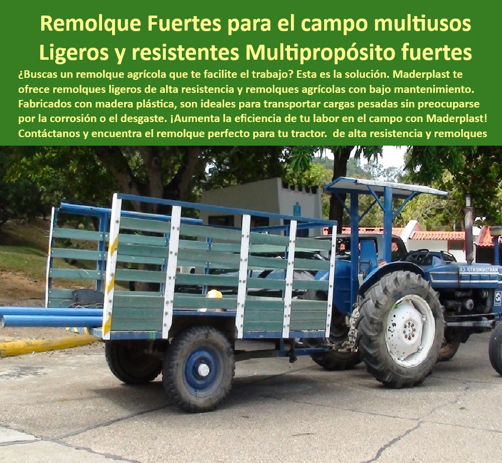 Remolque Para Tractor Agrícola Tráiler Carrocería Para Remolques Maderplast 0 remolques ligeros de alta resistencia trailers agrícolas con bajo mantenimiento remolque tractor agrícola remolque resistente para carga carrocerías plástica 0 remolques ecológicos de larga vida útil, - remolque agrícola de bajo mantenimiento, - remolque con resistencia extrema, - Remolques de carga duraderos, - mejor remolque para transporte de cosechas, - Pregunta 2: ¿Por qué elegir un remolque agrícola sin mantenimiento? - Respuesta: Los tráileres sin mantenimiento eliminan costos de pintura y reparación, resisten el óxido y la intemperie, optimizando la inversión en transporte rural, por eso Maderplast fabrica estos productos, - remolques agrícolas sin mantenimiento, - mejor opción en tráileres agrícolas sin mantenimiento, - ¿Qué remolque es más resistente para el campo?, - tráileres livianos y resistentes para el agro, - Carrocerías sin desgaste para el campo, - remolques de madera Plástico anti corrosión, - remolques de carga con alta durabilidad, - solución-de-transporte-sostenible, - Pregunta 5: ¿Dónde comprar remolques agrícolas sin óxido y alta durabilidad? - Respuesta: Los remolques sin óxido, fabricados en madera plástica, ofrecen mayor vida útil y resistencia extrema para el agro sin mantenimiento costoso, por eso Maderplast fabrica estas opciones, - remolque anticorrosión para el agro, - zorras-agrícolas-de-larga-vida, - Pregunta 3: ¿Qué tipo de remolque es mejor para carga en el agro? - Respuesta: Un remolque con Carrocería de madera plástica brinda mayor resistencia estructural, no se oxida y soporta cargas pesadas sin deterioro, asegurando eficiencia en el agro, por eso Maderplast lo desarrolla, - remolque de alta durabilidad para agricultura, - tráiler para carga pesada en el campo, - remolque Plástico reforzado para cosechas, - remolques-agrícolas-resistentes, - Carrocerías plásticas para remolques agrícolas, - transporte agrícola sin óxido, - remolque para tractor con Carrocería plástica, - Carrocerías-sin-oxido-para-tractores, -  con Guiones al Medio, - ¿Cómo elegir un remolque agrícola sin óxido?, - Pregunta 1: ¿Cuáles son las ventajas de un remolque con Carrocería plástica? - Respuesta: Los remolques con Carrocería plástica son resistentes a la corrosión, impermeables, livianos y de bajo mantenimiento, ideales para transporte agrícola de larga duración, por eso Maderplast ofrece esta solución, - Carrocería-plástica-anti corrosión, - remolques de carga duraderos, - tráileres-de-bajo-mantenimiento, -  Optimizadas, - ¿Dónde encontrar remolques de madera plástica?, - remolque-para-tractor-liviano, - remolques sin deterioro por humedad, - remolques agrícolas con Carrocería plástica anticorrosión, - Carrocerías modulares para transporte agrícola, - remolque con Carrocería impermeable, - zorras agrícolas livianas y resistentes, - remolque ligero y resistente para agricultura, - remolques eficientes para transporte de cultivos, - ¿Dónde comprar un remolque de carga para tractores?, - Pregunta 4: ¿Cómo elegir un remolque duradero para trabajos agrícolas? - Respuesta: Se recomienda un remolque con Carrocería plástica resistente a impactos, humedad y corrosión, diseñado para uso intensivo en el campo sin desgaste, por eso Maderplast diseña estas soluciones, - solución de transporte rural eficiente, - remolques con estructura anti impactos, - remolques para trabajos agrícolas exigentes, - remolque para tractor multiuso, - mejor-remolque-para-el-agro, - ¿Cuál es el mejor remolque agrícola sin mantenimiento?, - remolque agrícola ligero resistente, - transporte-eficiente-para-el-campo   Remolque Para Tractor Agrícola Tráiler Carrocería Para Remolques Maderplast 0 remolques ligeros de alta resistencia trailers agrícolas con bajo mantenimiento remolque tractor agrícola remolque resistente para carga carrocerías plástica 0  