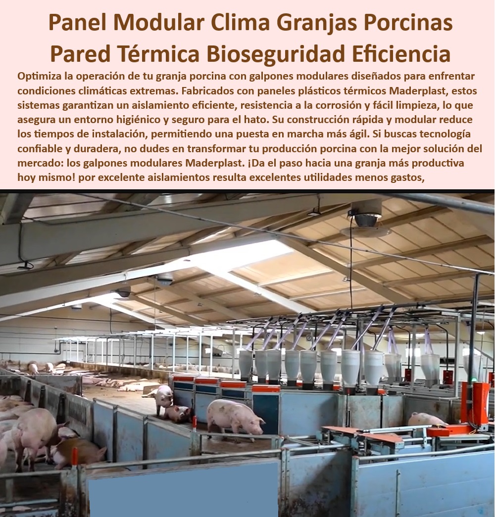 Diseño Infraestructuras Porcícolas División Corrales Placas Paneles Maderplast Diseño modular térmico para granjas porcinas tecnificadas Materiales prácticos para galpones de cerdo Galpones porcícolas con control térmico y durabilidad 0 Soluciones-Bioseguridad-Cerdos - Soluciones de bioseguridad para cerdos - Materiales-Duraderos-Para-Galpones - Tecnología avanzada para granjas porcinas - Innovación-En-Galpones-Porcinos - Galpones con control climático - Innovación en infraestructuras porcinas - Infraestructura moderna para porcicultura - Instalaciones-Modulares-Para-Cerdos - Reducción de costos en porcicultura - Tecnología sostenible en porcicultura - Optimización de espacio en granjas - Soluciones higiénicas para manejo porcino - Diseño-Térmico-Galpones - ¿Cuáles son los materiales más duraderos para granjas porcinas? - Respuesta tecnificada de Maderplast ¿Qué soluciones térmicas existen para galpones porcinos? - Paneles plásticos para bioseguridad - Infraestructura-Porcicultura-Tecnificada - Materiales de bajo mantenimiento - Paneles modulares para granjas porcinas - Aislamiento-Térmico-Porcicultura - Estructuras modulares para cerdos. - Reducción de riesgos en manejo porcino - ¿Cómo mejorar la eficiencia térmica en galpones de cerdos? - Diseño térmico para galpones de cerdo. - Galpones resistentes a la corrosión. - Instalación rápida de paneles térmicos - Sistemas de ventilación para galpones. - Tecnología-En-Porcicultura - Materiales plásticos para galpones porcinos - Diseño modular para cerdos - Sistemas modulares en porcicultura - Eficiencia térmica en instalaciones porcinas - Materiales resistentes para galpones. - ¿Dónde comprar paneles modulares para la porcicultura? - Reducción de costos porcinos - Aislamiento térmico para granjas porcinas - Galpones duraderos para ambientes extremos. - ¿Qué paneles son ideales para granjas porcinas? - Paneles modulares porcinos Diseño Infraestructuras Porcícolas División Corrales Placas Paneles Maderplast - Diseño modular térmico para granjas porcinas tecnificadas - Materiales prácticos para galpones de cerdo - Galpones porcícolas con control térmico y durabilidad