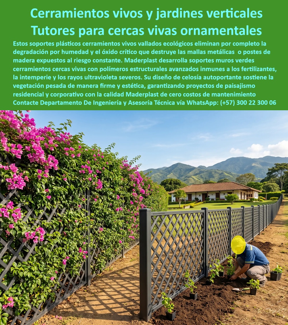 Soportes Muros Verdes Cerramientos cercas vivas Maderplast - Sistemas para Cerramientos Vivos y Jardines Verticales Anticorrosivos, Sistemas De Tutorado Cercas Vivas Ornamentales, Soportes Plásticos Cerramientos Vivo Vallados Ecológicos Soportes Soportes Muros Verdes Cerramientos cercas vivas Maderplast Sistemas para Cerramientos Vivos y Jardines Verticales Anticorrosivos Sistemas De Tutorado Cercas Vivas Ornamentales Soportes Plásticos Cerramientos Vivo Vallados Ecológicos Soportes
